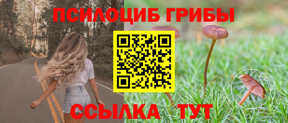 Симферополь  Псилоцибиновые грибы Psilocybe  Вход с VPN 
